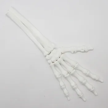 Figurka Flexi Factory Ruka kostlivce pravá (var. A) - bílá