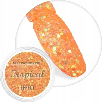 ALLEPAZNOKCIE Prášek Ozdoby Na Nechty 1g Tropický efekt Vánoční Č. 07