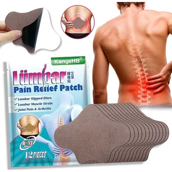 Náplast Hřejivé náplasti proti bolesti zad - silné léčivé náplasti 6 ks