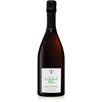 Eric Tailett champagne sur le grand marais brut nature 0,75l