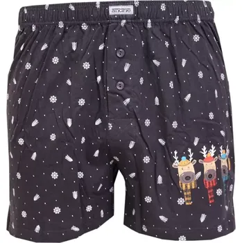 Trenýrky Pánské trenky Andrie PS5911 tm.šedé vel.XL