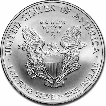 United States Mint American Eagle stříbrná mince 1oz 2007
