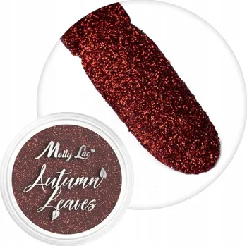 Molly Lac Prach/Pigment na nehty Autumn Leaves 1 g - Č. 5 Červené Listy