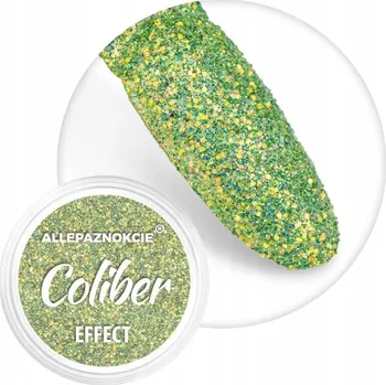 PRÁŠEK NA NEHTY COLIBER EFFECT OPALIZUJÍCÍ 06