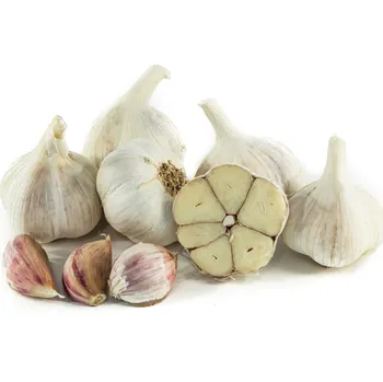 Cibulovina Jahodárna Brozany Česnek Dukát