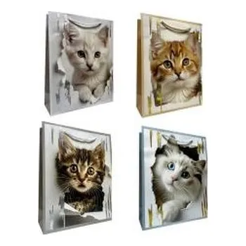 Set školních potřeb Torebka prezentowa S metalizowana Kotki mix