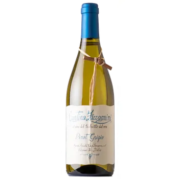 Zaccagnini pinot grigio terre di chieti doc 0,75l