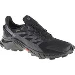 Salomon Supercross 4 Gore-Tex L41731600