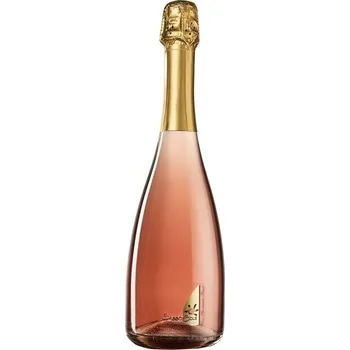 Sasso di Sole spumante brut rosato 0,75l