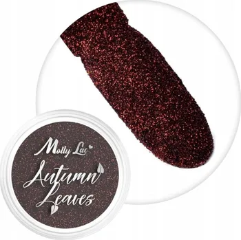 Molly Lac Prachová ozdoba na nehty Autumn Leaves 1 g - Č. 4 Červené víno