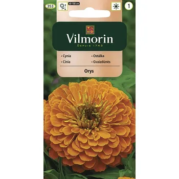 Semeno Ostálka sličná Orys (jiřinokvětá, oranžová) 10/2025