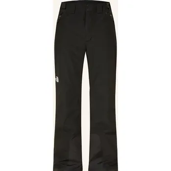 Pánské kalhoty The North Face Pánské Lyžařské Kalhoty Descendit, černá, 56