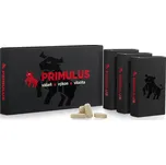 PRIMULUS 60 tablet, multivitamín moderního muže