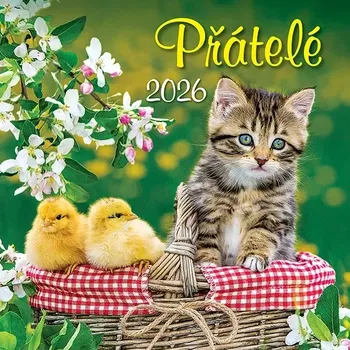 Kalendář Nástěnný kalendář 33 x 33 cm Přátelé 2026