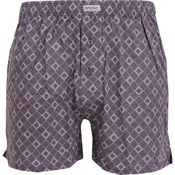 Trenýrky Pánské trenky Andrie PS5921 šedé vel.XL