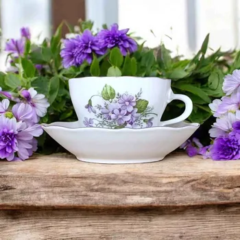 Šálek C a podšálek C 0,25l FIALKY Český porcelán Dubí