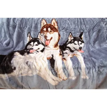 deka Šedá deka s motivem husky Šířka: 160 cm | Délka: 210 cm