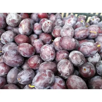 Sušené ovoce BIO švestky, min. 500 g