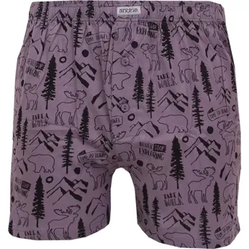 Trenýrky Pánské trenky Andrie PS5929 ŠEDÉ vel.XXL