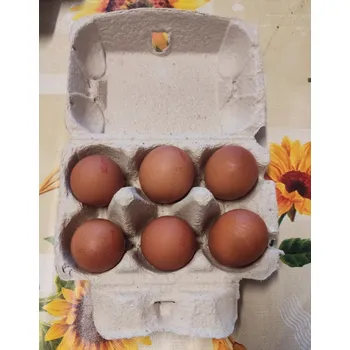 vejce BIO vejce Dark Indian - různé velikosti, 6 ks