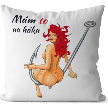 Dekorativní polštářek FDCZ Polštář Mám to na háku