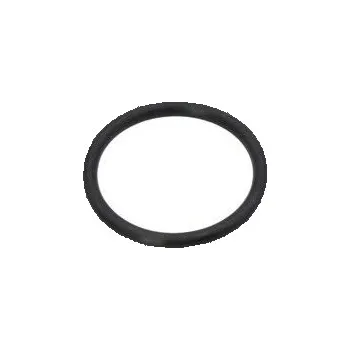 Těsnicí kroužek, olejová vypouštěcí zátka AUTOMEGA 190064810