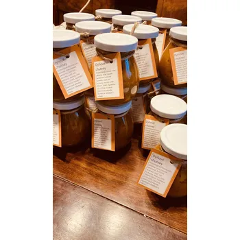 Omáčka Dýňové chutney, 269 ml