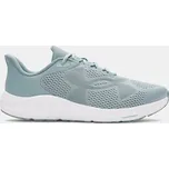 Under Armour Pánské boty UA Charged Pursuit 4 BL-GRN 6000597-323 Zelená 45,5
