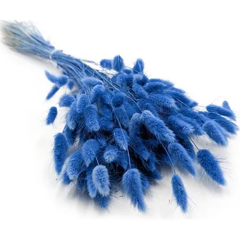 mech-mech.cz Sušený Králičí ocas - (Lagurus) - Mořský