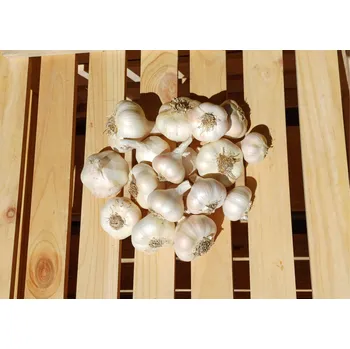 Koření Česnek, min. 200 g