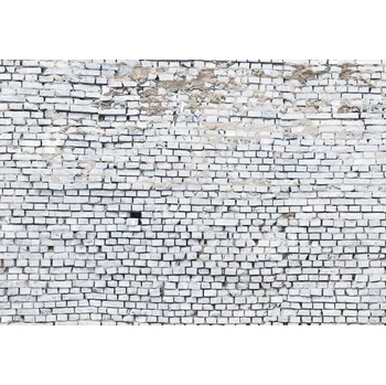 Fototapeta KOMR 188-8 Komar obrazová fototapeta 3D White Brick, velikost 368 cm x 254 cm