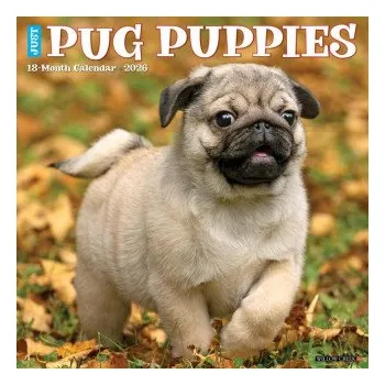 Kalendář Pug Puppies 2026 12 X 12 Wall Calendar (Kalendář)