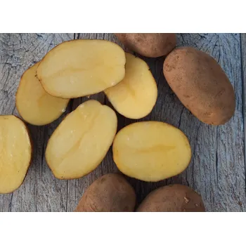 Brambory Dominika - typ A, 10 kg