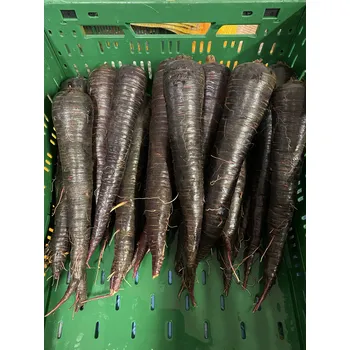 Krmivo pro hlodavce Mrkev fialová, min 1,5 kg