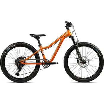 Dětské kolo Dětské kolo Academy S-Grade 5 - Trail Amber