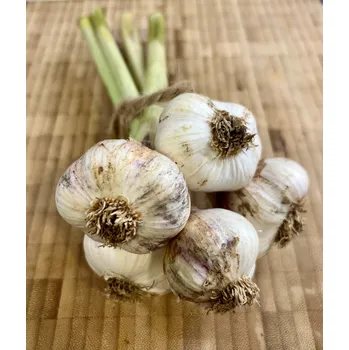 BIO česnek Bjetin, min. 150 g