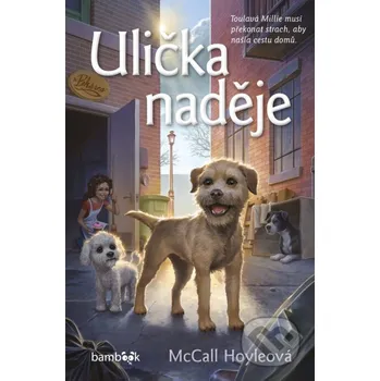 Kniha Ulička naděje - McCall Hoyleová Grada