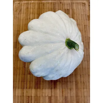 Sušená potravina BIO bílý patizon, min. 600 g