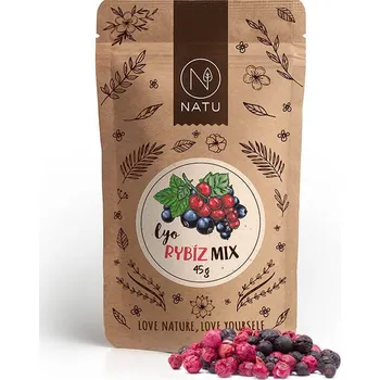 Sušené ovoce Lyo mix rybíz, 45 g