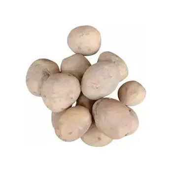 BIO brambory Sunita - typ AB, min. 5 kg