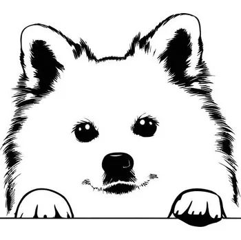 Kuchyňské prkénko Prkénko s motivem psa a textem | 39 x 22,5 cm | O chlup lepší chuť! Americký eskymácký pes - C