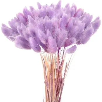 60 ks sušené pampové trávy, přírodní kytice