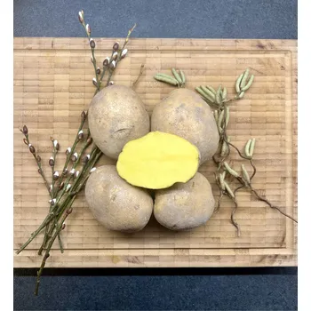 BIO brambory Agria - typ B, 2 kg