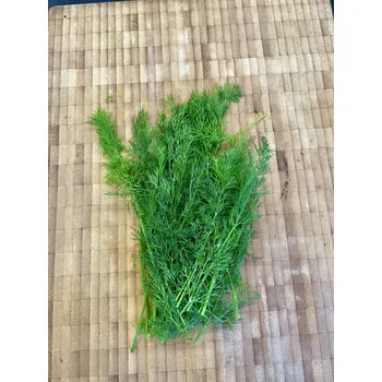 Koření BIO kopr, 30 g