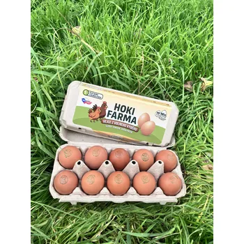 Velikonoční dekorace Čerstvá vejce z volného chovu – mix velikostí, 10 ks
