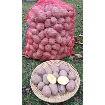 BIO červené brambory odrůdy Rosara - typ BA, min. 5 kg