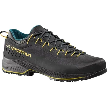 Pánská treková obuv Pánské nástupové boty La Sportiva TX4 Evo GTX Carbon/Bamboo 40 EU