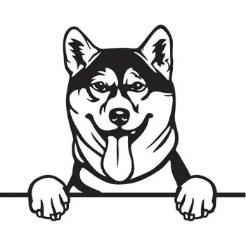 Kuchyňské prkénko Prkénko s motivem psa a textem | 39 x 22,5 cm | A co já?! Shiba-Inu - A