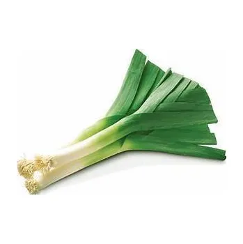 Semeno Pór letní - osivo, 1 g