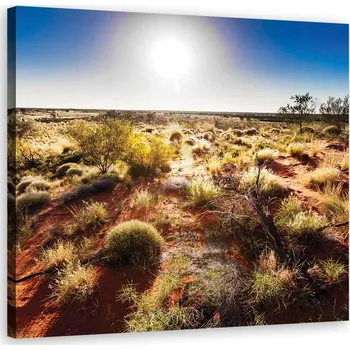 Obraz OBRAZ NA PLÁTNĚ Poušť Savana Příroda